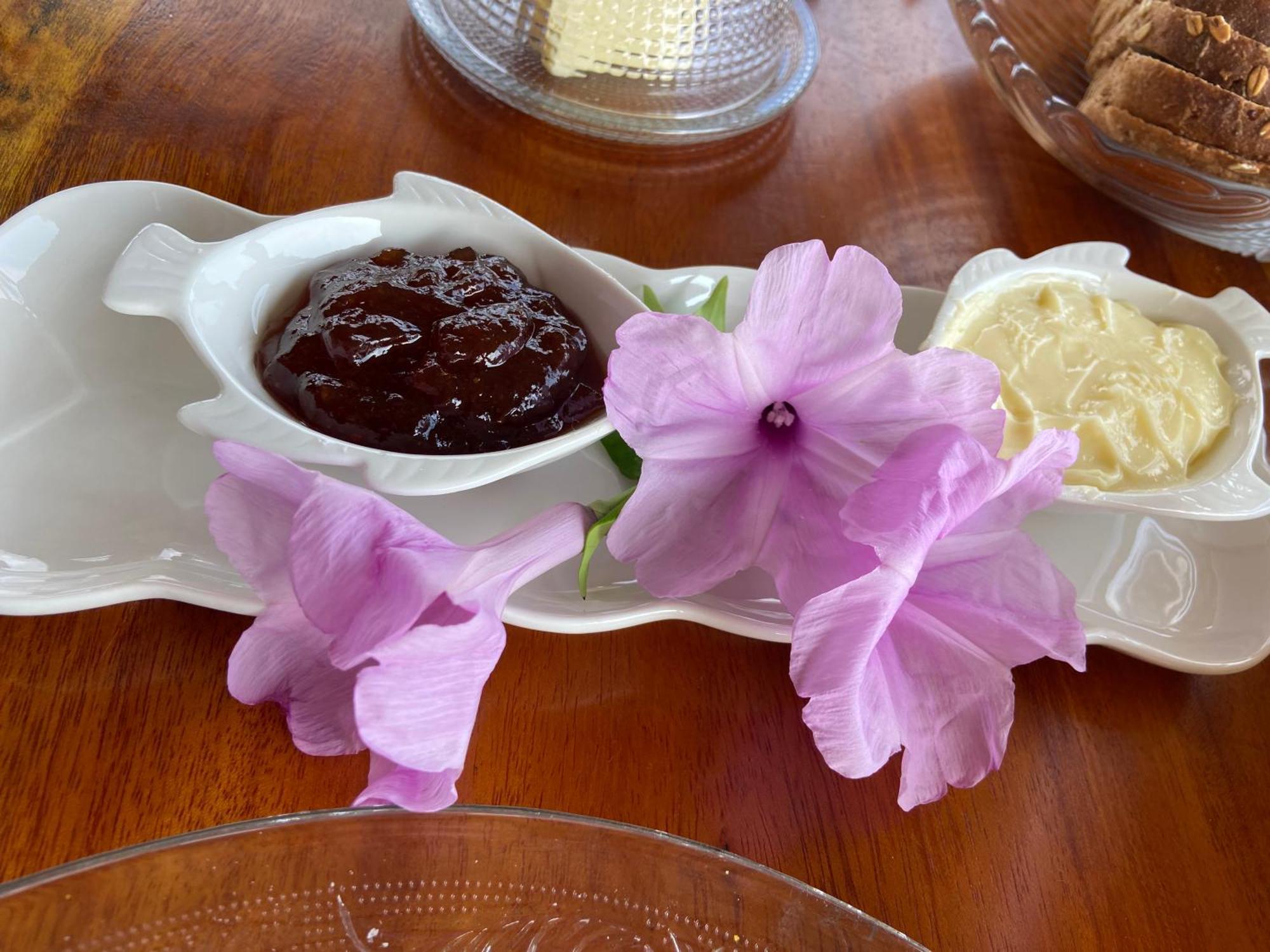 Aponem Spa & Pousada كورومباو المظهر الخارجي الصورة